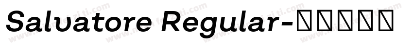 Salvatore Regular字体转换
